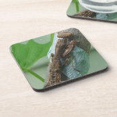 Dessous-de-verre Prier Insecte Mantis (Côté gauche)