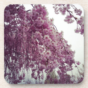 Dessous-de-verre Printemps