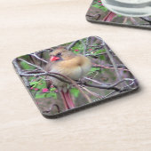 Dessous-de-verre Printemps cardinal féminin (Côté gauche)