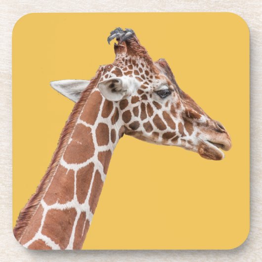 Dessous-de-verre Profil de girafe (Devant)
