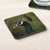 Dessous-de-verre Profil de Peacock (Côté gauche)