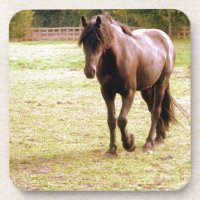 Promenade à cheval Brown relaxante