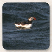 Dessous-de-verre Puffin (Devant)