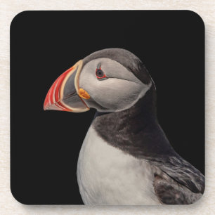 Dessous-de-verre Puffin Atlantique en Machias, Maine