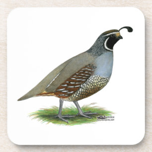 Dessous-de-verre Quail de la Californie