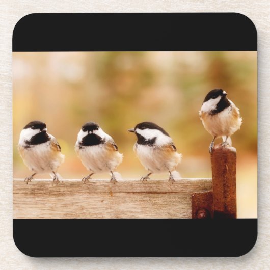 Dessous-de-verre Quatre Chickadees mignons (Devant)
