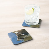 Dessous-de-verre Raccoon (Côté Droit)