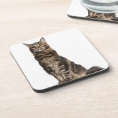 Dessous-de-verre Ragondin du Maine (8 mois) (Côté gauche)