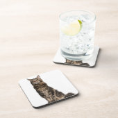 Dessous-de-verre Ragondin du Maine (8 mois) (Côté Droit)