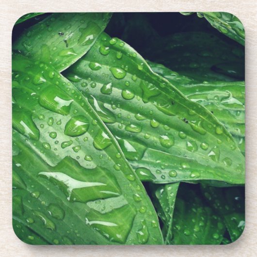 Dessous-de-verre Rainy Day Hosta Feuille (Devant)