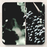 Raisins de cuve