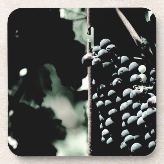 Dessous-de-verre Raisins de cuve (Devant)