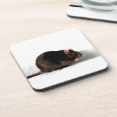 Dessous-de-verre Rat coastercnm (Côté gauche)