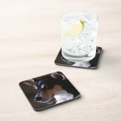 Dessous-de-verre Rat terrier (Côté Droit)