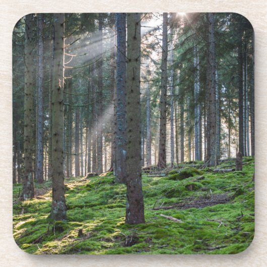 Dessous-de-verre Rayons de soleil dans la Forêt-Noire (Devant)