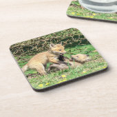 Dessous-de-verre Red Fox Kits Jouer (Côté gauche)