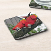 Dessous-de-verre Red Macaws 2.JPG (Côté gauche)