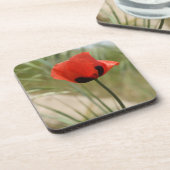 Dessous de verre Red Poppy (Côté gauche)