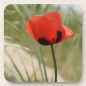 Dessous de verre Red Poppy (Devant)