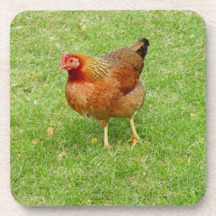 Dessous de verre Red Rooster