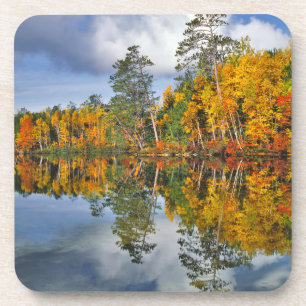Dessous-de-verre Reflets d'étang en automne, Maine