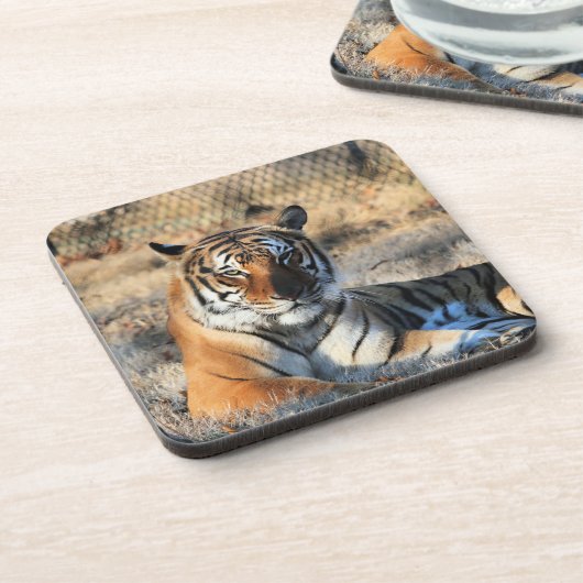 Dessous-de-verre Regal (Côté gauche)