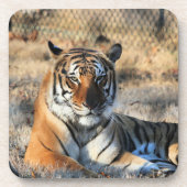 Dessous-de-verre Regal (Devant)