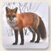 Dessous-de-verre Renard rouge en neige (Devant)