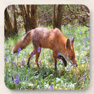 Dessous-de-verre Renard roux scène paisible de sous-bois set de jac