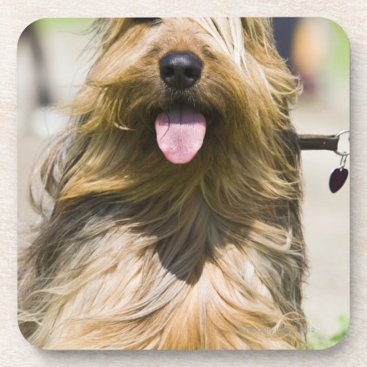 Dessous-de-verre représentation de la langue, longs cheveux, (Devant)