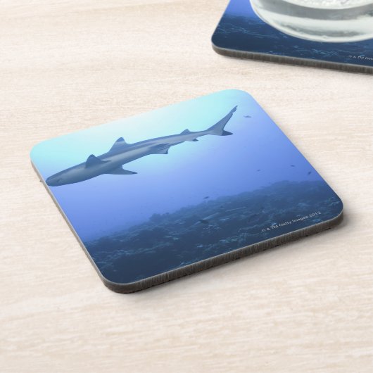 Dessous-de-verre Requin dans l'océan, vue d'angle faible (Côté gauche)