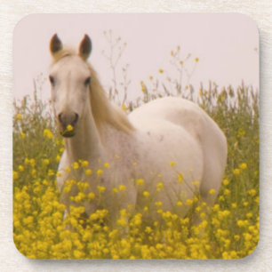 Dessous-de-verre Ressort