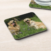 Dessous-de-verre Retreivers d'or dans l'herbe (Côté gauche)