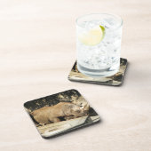 Dessous-de-verre Rhino couché (Côté Droit)