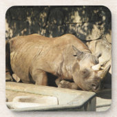 Dessous-de-verre Rhino couché (Devant)