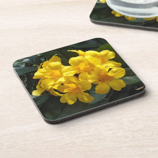 Dessous-de-verre Rhododendron jaune (Côté gauche)