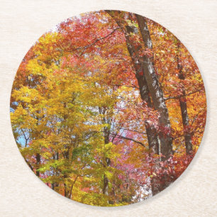 Dessous-de-verre Rond En Papier Arbres d'automne orange et jaune Photographie d'au