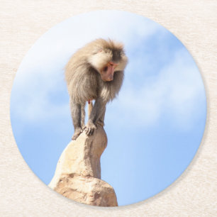 Dessous-de-verre Rond En Papier Babouin singe au sommet d'une montagne