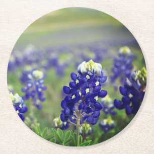 Dessous-de-verre Rond En Papier Bluebonnets Fleurs Bleues Texas Texan Floral