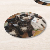 Dessous-de-verre Rond En Papier Chatons de smoking (Incliné)