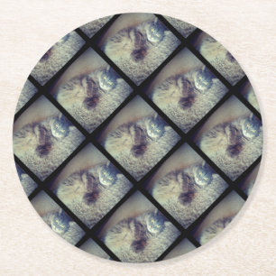 Dessous-de-verre Rond En Papier Collage de chats par Shirley Taylor