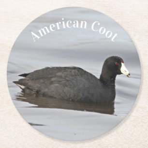 Dessous-de-verre Rond En Papier Coot américain