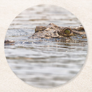 Dessous-de-verre Rond En Papier Crocodile du Nil