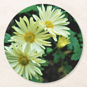 Dessous-de-verre Rond En Papier Dessous de verre Daisy Delight