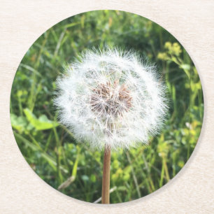 Dessous-de-verre Rond En Papier Ensemble de Dessous de verre Dandelion