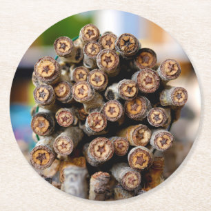 Dessous-de-verre Rond En Papier Etoiles le long du Rio Grande Cotton Wood Trees