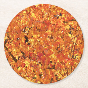 Dessous-de-verre Rond En Papier Feuilles d'automne sur arbre - photo.