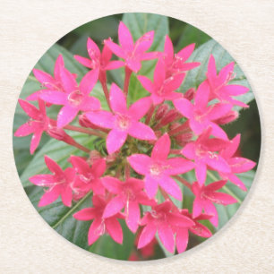Dessous-de-verre Rond En Papier Fleurs tropicales roses brillantes Dessous de verr