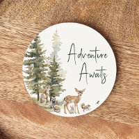 Forêt Bois Animaux Aventure Attend