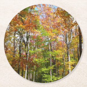 Dessous-de-verre Rond En Papier Forêt d'automne II Photographie de paysage automna